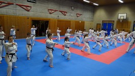 DSC01918.JPG