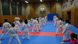 DSC01930.JPG