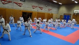 DSC01936.JPG